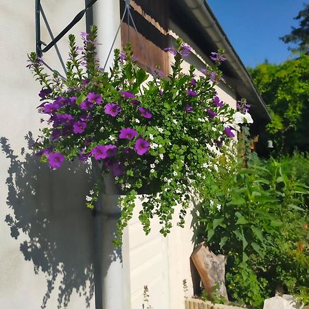 Logis51 Apartment Ville-sur-Tourbe ภายนอก รูปภาพ