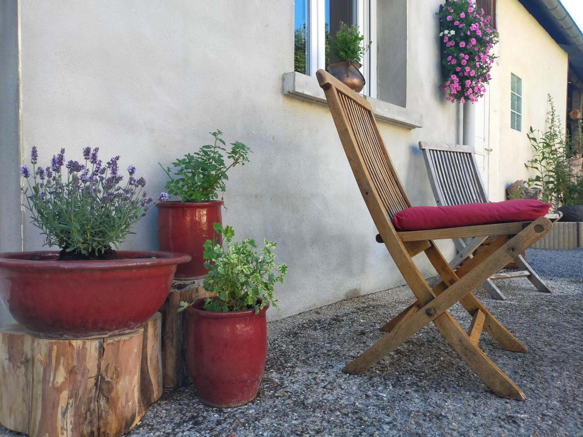 Logis51 Apartment Ville-sur-Tourbe ภายนอก รูปภาพ