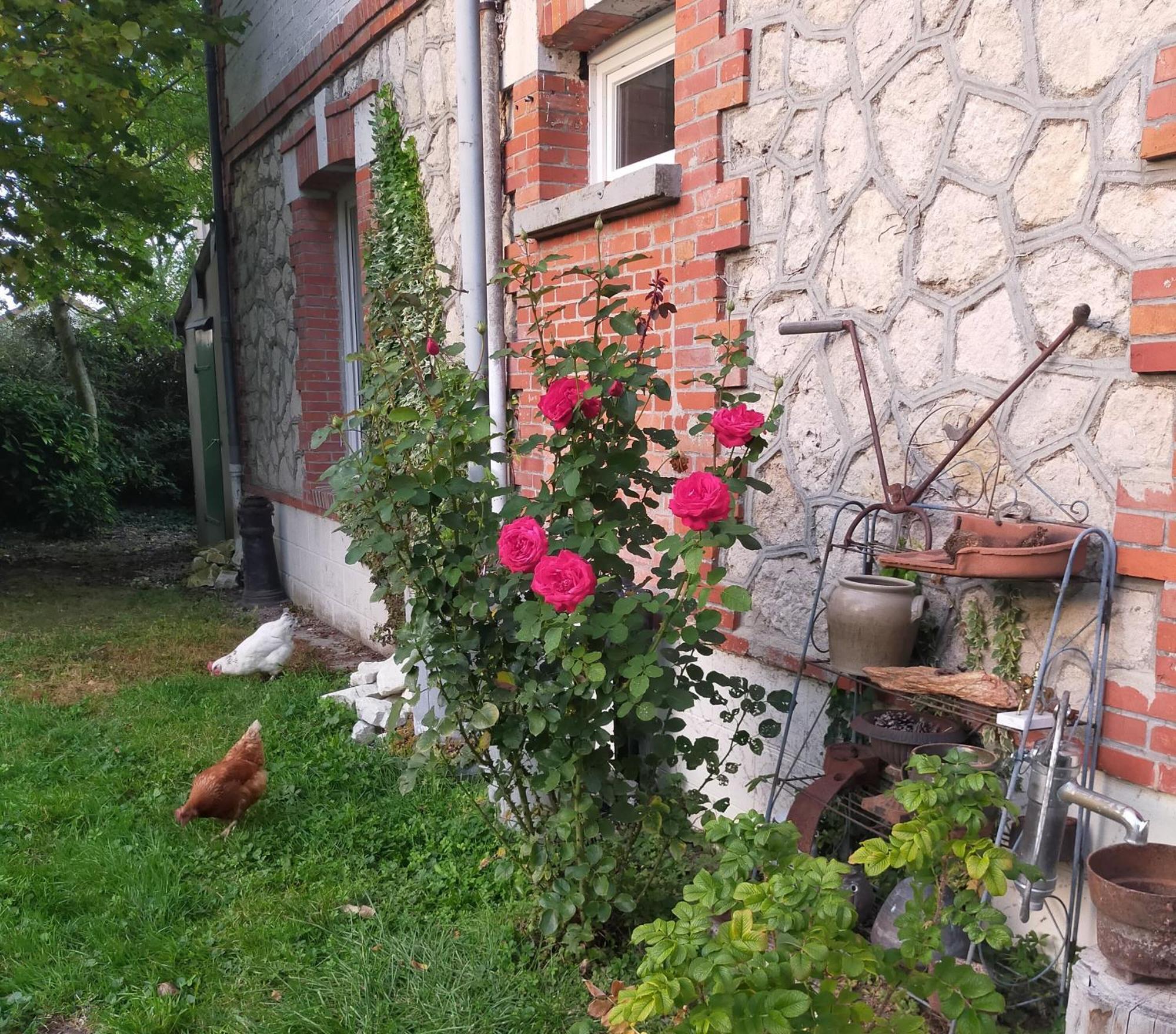 Logis51 Apartment Ville-sur-Tourbe ภายนอก รูปภาพ